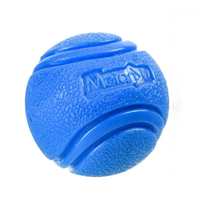 Dog Chew Bouncy Ball