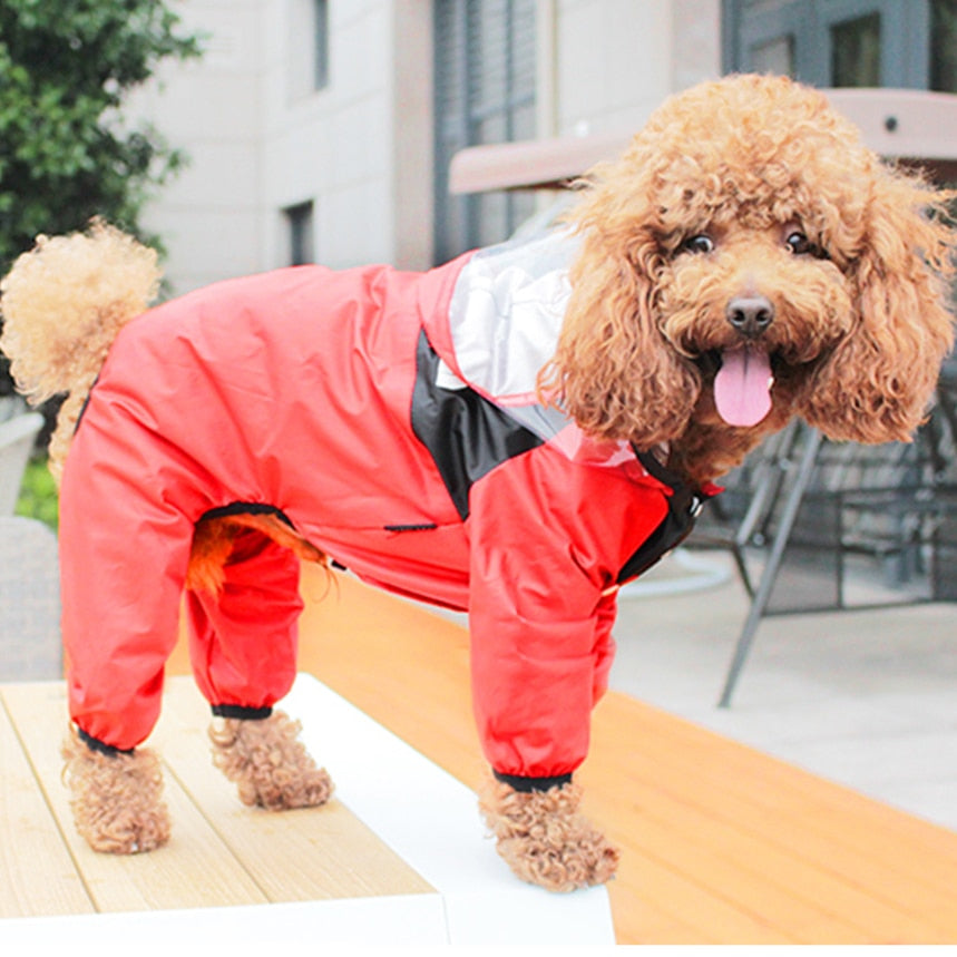 The Dog Face Rain Coat -  Rain Windproof Fashion Pet Costume for Small Medium Large Dog