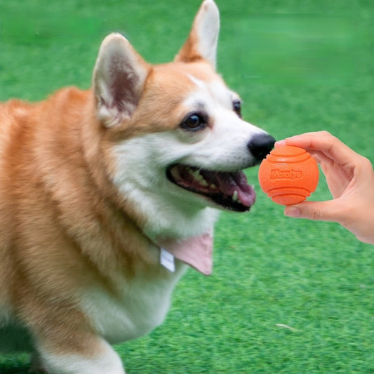 Dog Chew Bouncy Ball