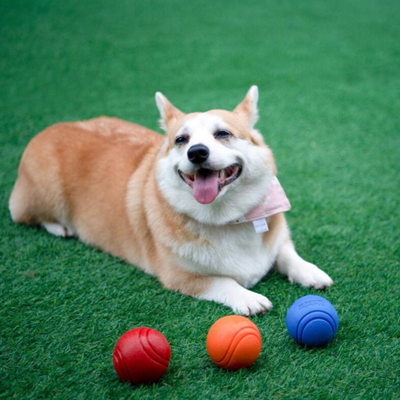 Dog Chew Bouncy Ball