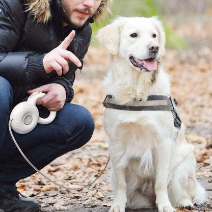 Dog Retractable Leashes