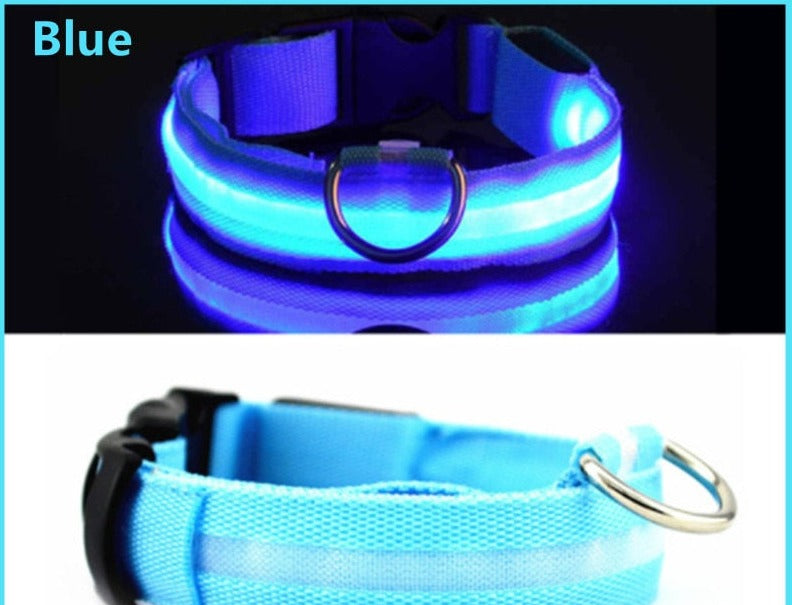 LED Glowing Dog Collar