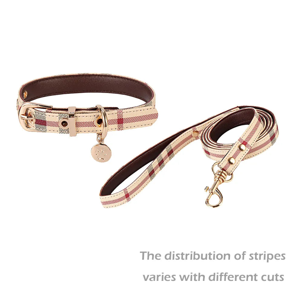 Leather Fashion Pet Collar and Leash