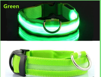 LED Glowing Dog Collar