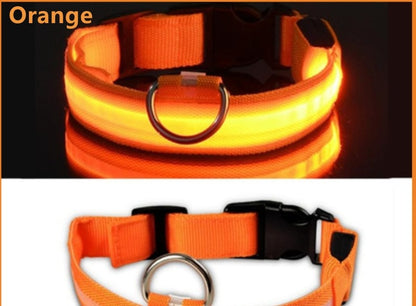 LED Glowing Dog Collar