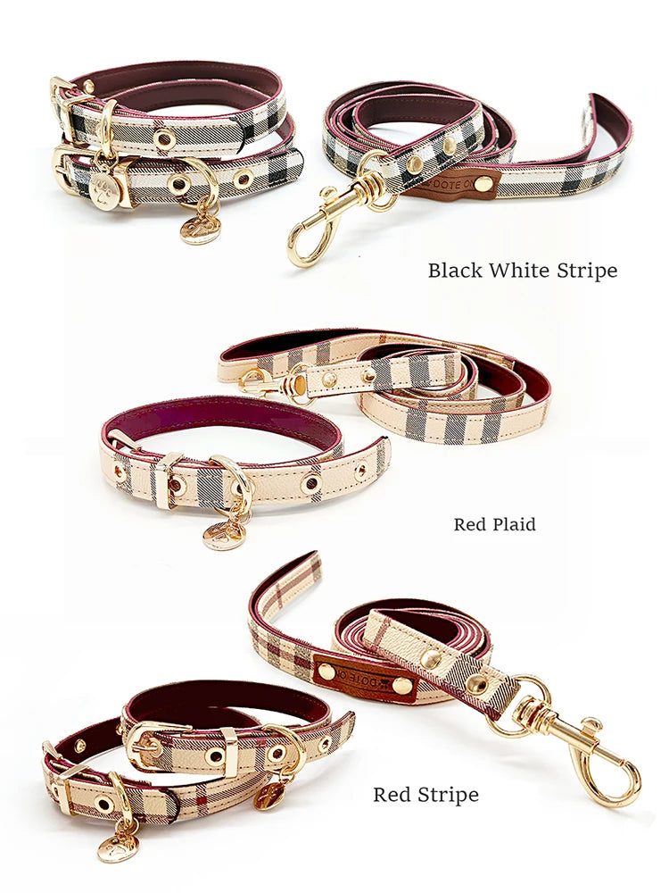 Leather Fashion Pet Collar and Leash