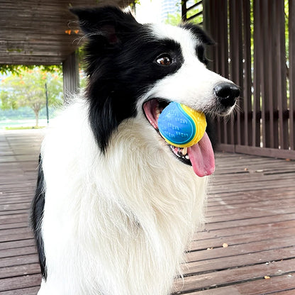 Dog Teeth Cleaning Bite Resistance Squeaky Ball