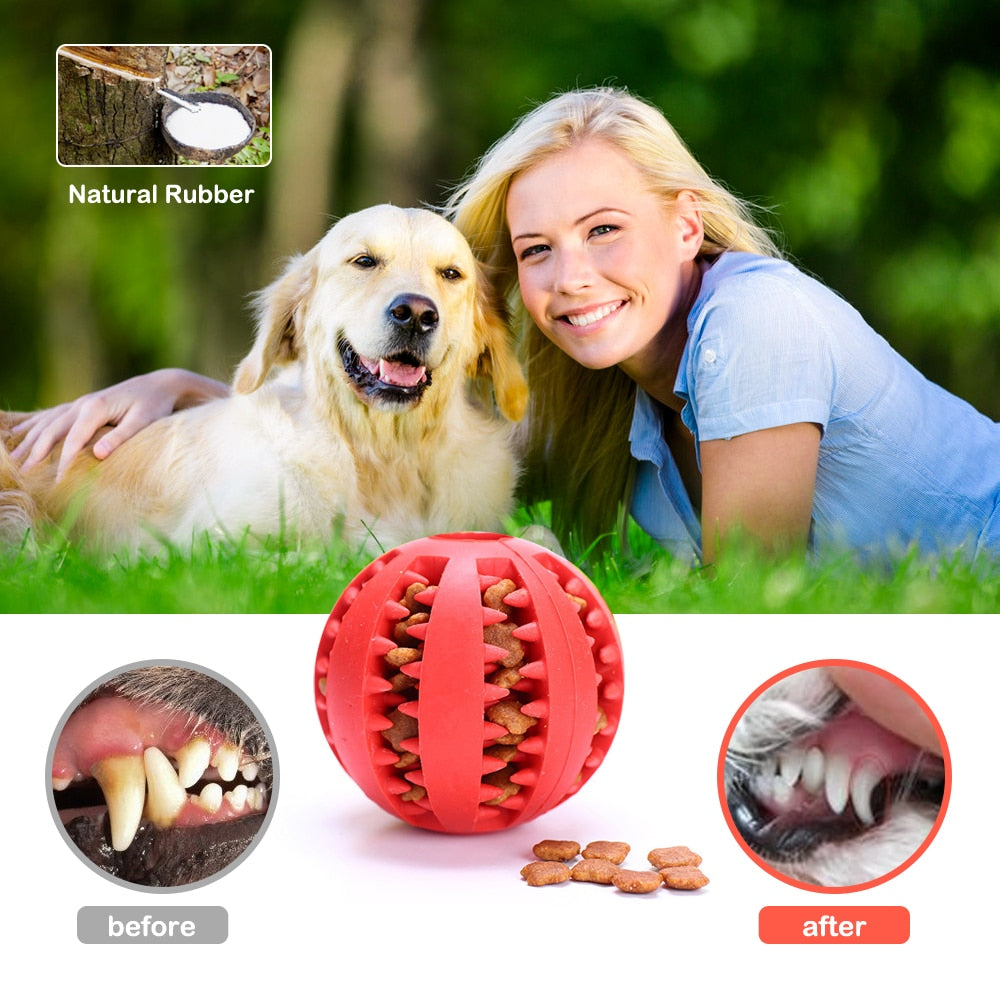 Interactive Chew Ball Treat Dispenser Dog & Cat Teething Toy