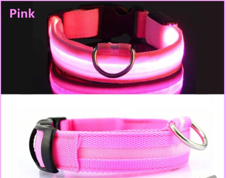 LED Glowing Dog Collar