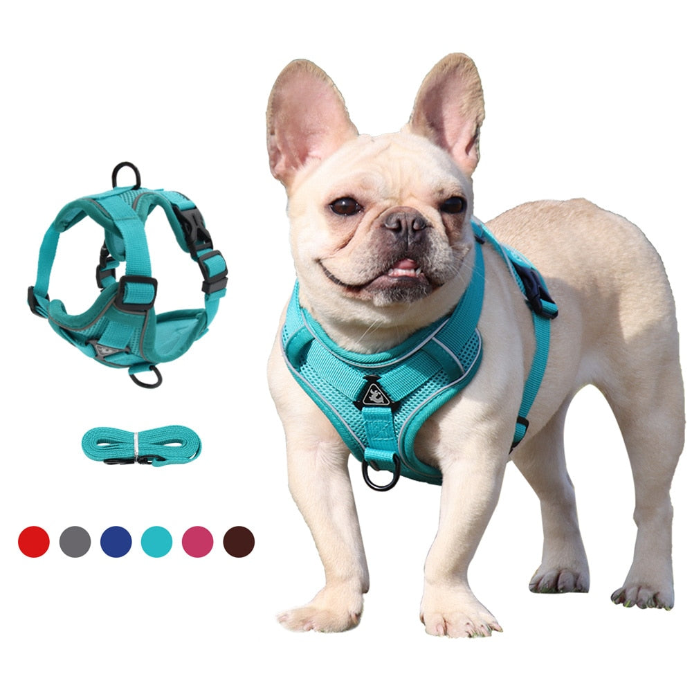 Adjustable Dog Harness Leash Set with Reflective Stripes for Walking Heavy-Duty Full Body No Pull Vest with Leash D-Ring, Breathable All-Weather