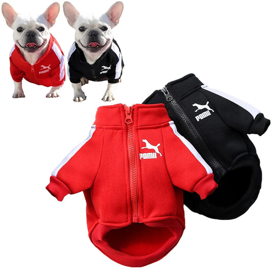 POMII Dog Jacket