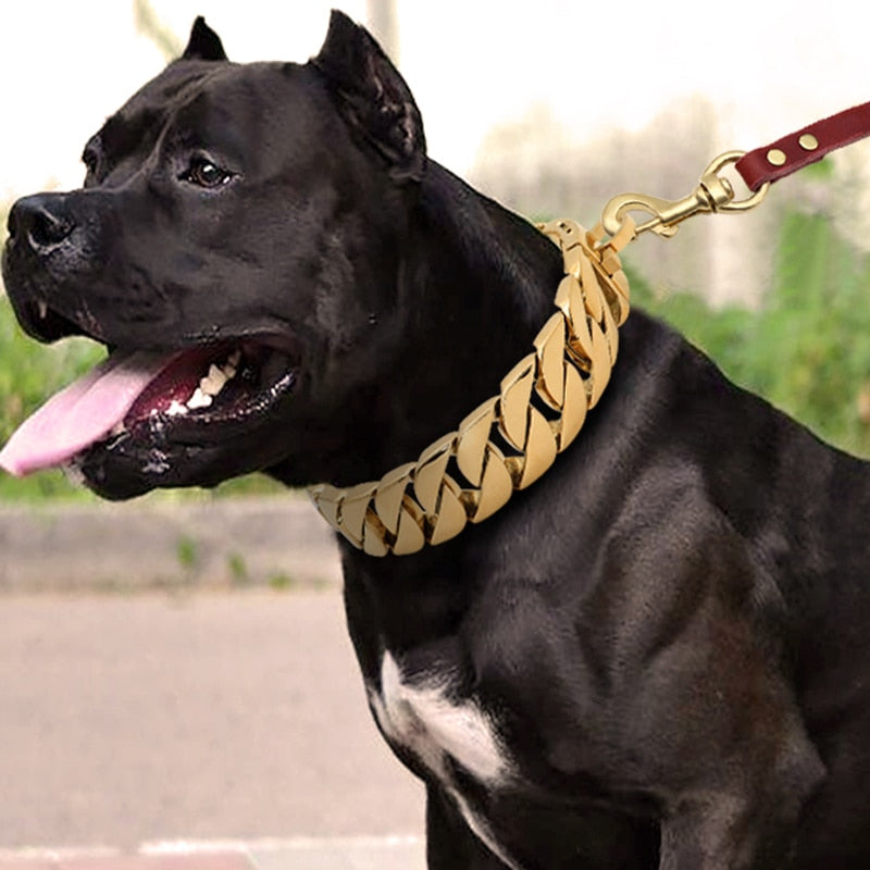 Black chain dog top collar